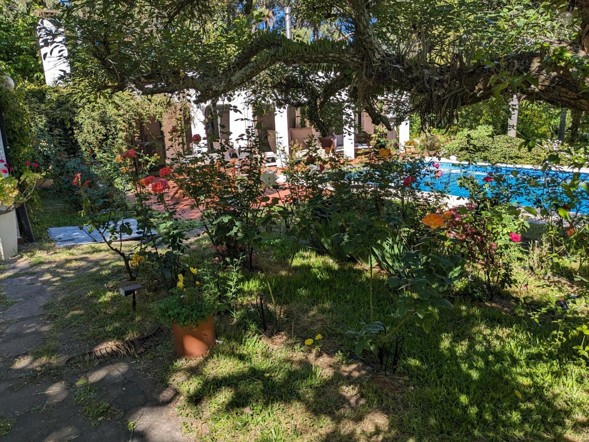 Casa Pura Vida Hotel Пунта Балена Екстериор снимка